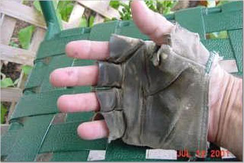 glove.jpg