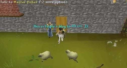 BlogHeader.jpg