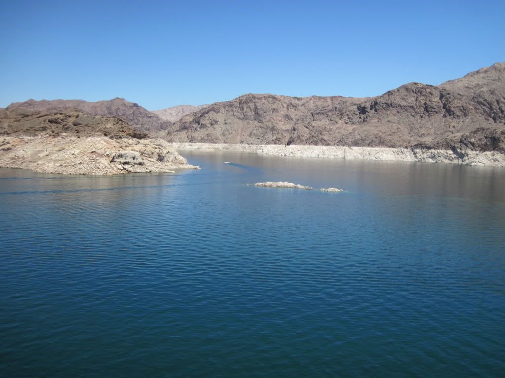 IMG_2890.jpg