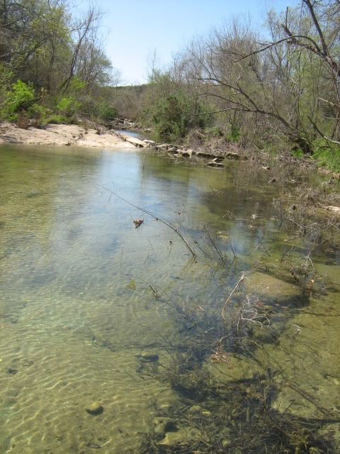 Clear water of Barton Creek