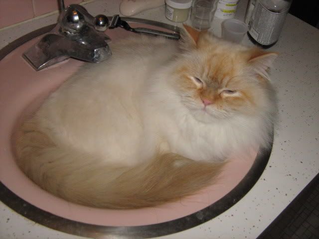 sink of fluff