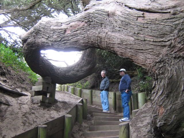 Sutro Heights Park