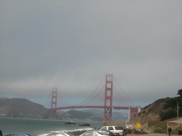 Golden Gate Park View