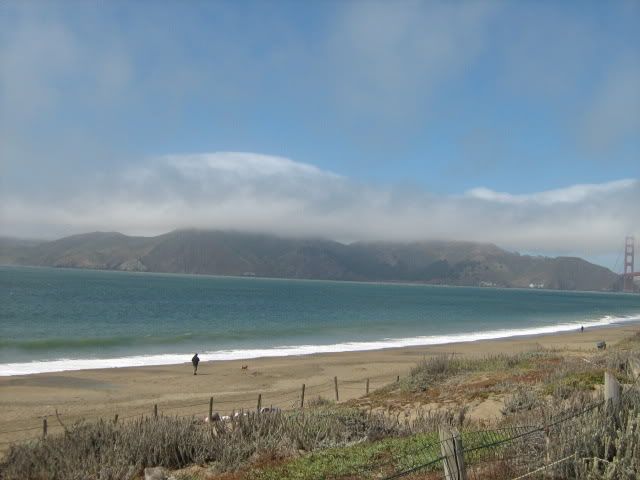 Golden Gate Park View