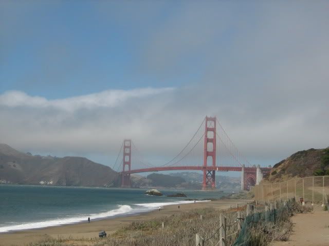 Golden Gate Park View
