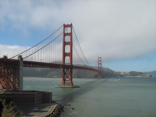 Golden Gate Park View