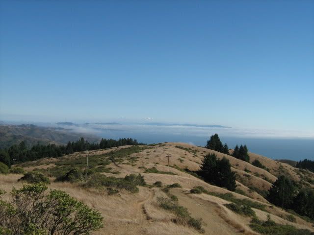 View from Muir woods