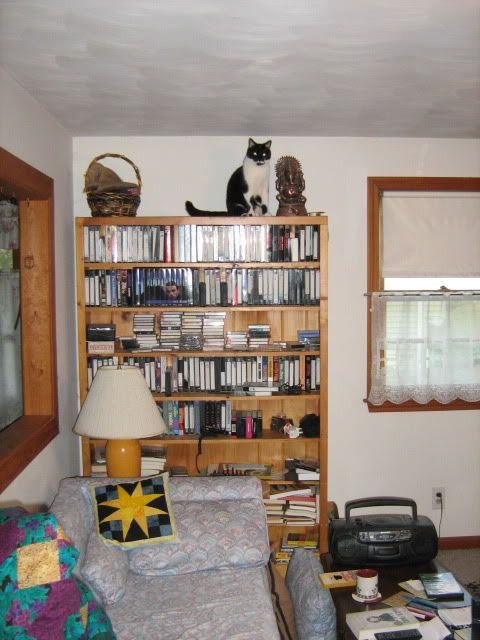 The big bookcase, now with cat