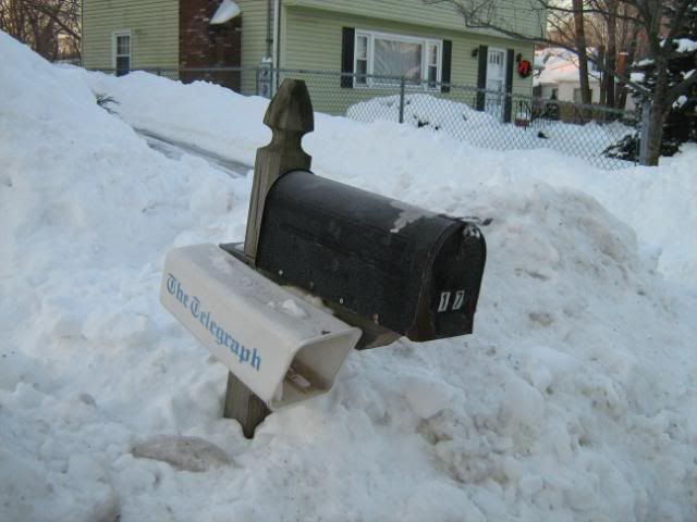 mailbox shivering in snowbank
