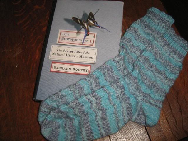 socks and book