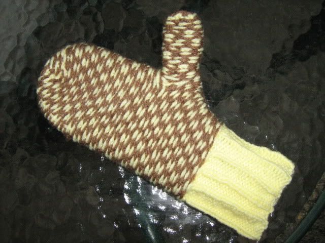inside of checkerboard mittens