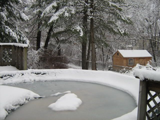 New England Spring Snow