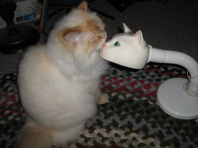 white lamp shaped like cat with white cat