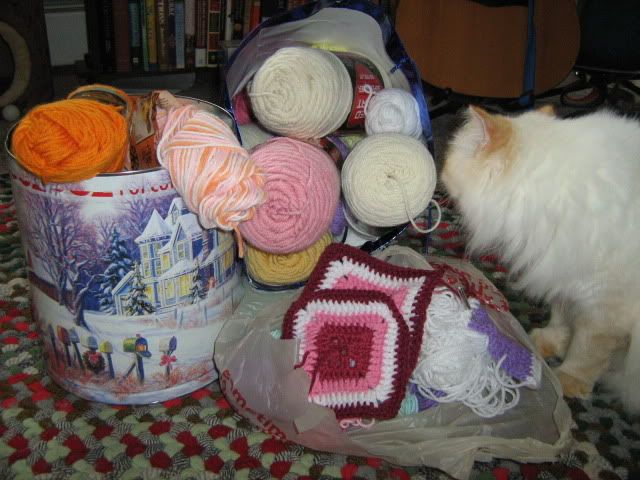 Biscuit checks out the new yarn