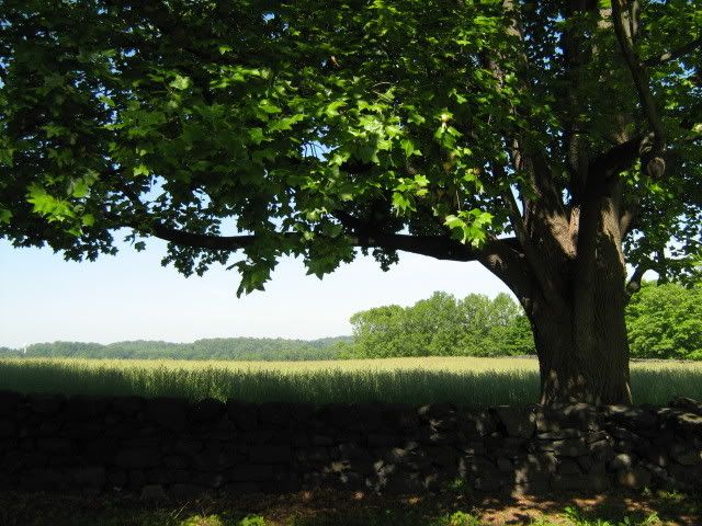 More Brandywine Creek State Park