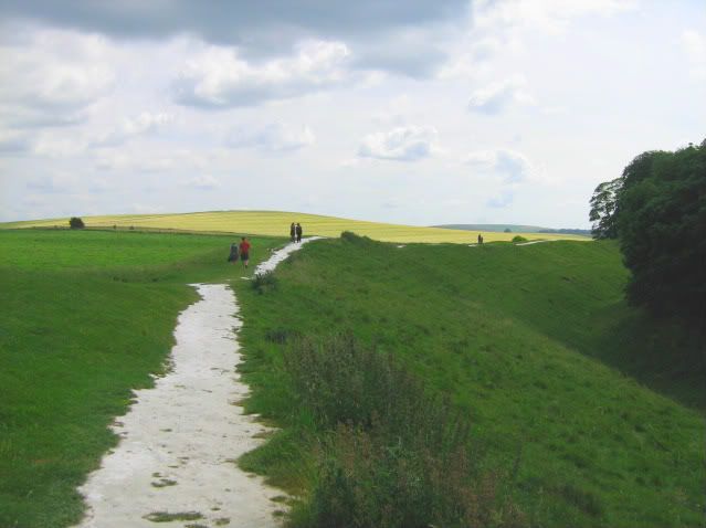 Chalk paths like milk