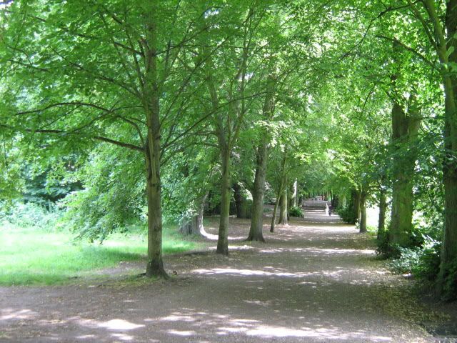 Hampstead Heath