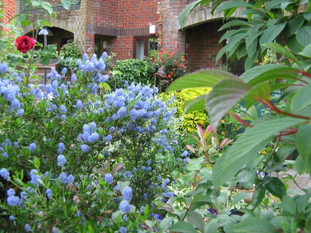 English canal-side garden