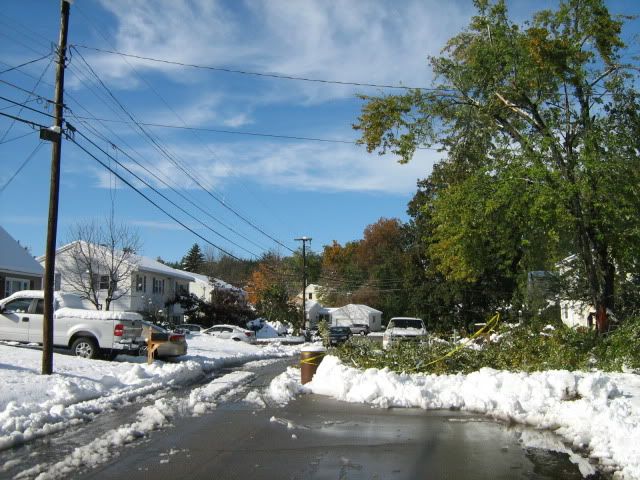 downed wire