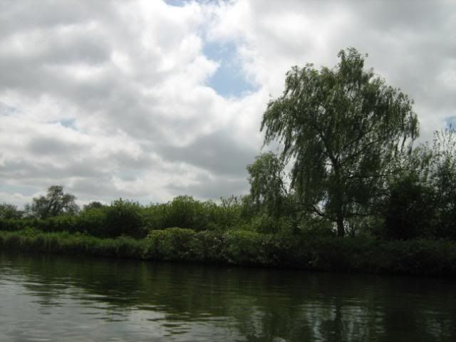 Willows with John Constable clouds
