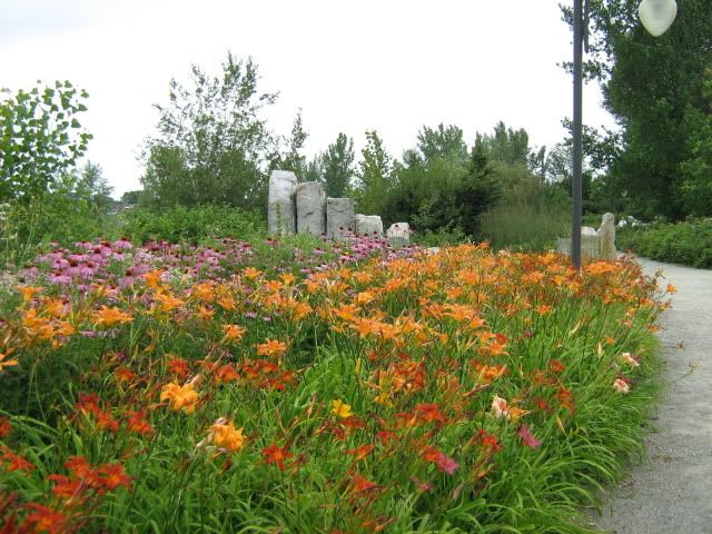 flowers in Rapids park