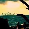 Peace.jpg peace beach image by southern_sweetheart49