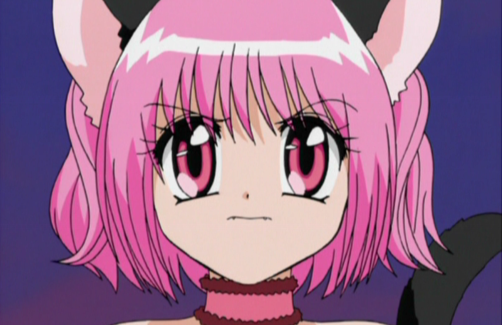 (Can't rember the boys' names) Anime:Tokyo Mew Mew Interests:My friends