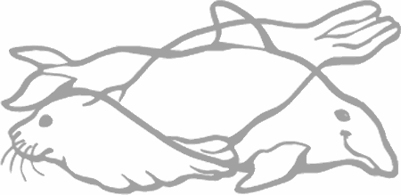 Dibujos para pintar peces, tortugas, tiburones, caracoles, lobos marinos, estrellas de mar, pescados, caballitos de mar, cocodrilos