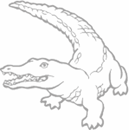 Dibujos para pintar peces, tortugas, tiburones, caracoles, lobos marinos, estrellas de mar, pescados, caballitos de mar, cocodrilos