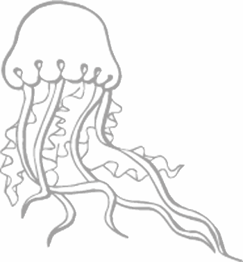 Dibujos para pintar peces, tortugas, tiburones, caracoles, lobos marinos, estrellas de mar, pescados, caballitos de mar, cocodrilos