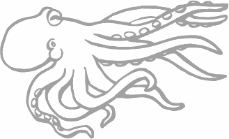Dibujos para pintar peces, tortugas, tiburones, caracoles, lobos marinos, estrellas de mar, pescados, caballitos de mar, cocodrilos