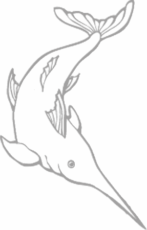 Dibujos para pintar peces, tortugas, tiburones, caracoles, lobos marinos, estrellas de mar, pescados, caballitos de mar, cocodrilos