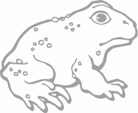 Dibujos para pintar peces, tortugas, tiburones, caracoles, lobos marinos, estrellas de mar, pescados, caballitos de mar, cocodrilos