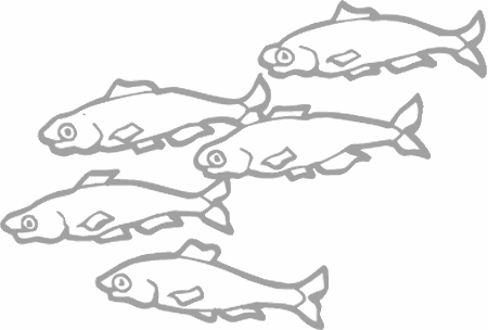 Dibujos para pintar peces, tortugas, tiburones, caracoles, lobos marinos, estrellas de mar, pescados, caballitos de mar, cocodrilos