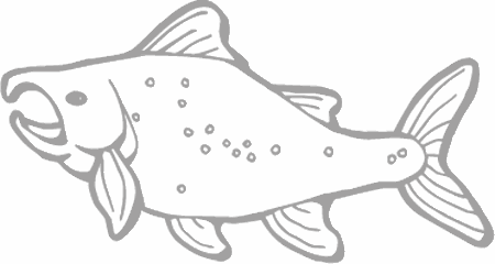 Dibujos para pintar peces, tortugas, tiburones, caracoles, lobos marinos, estrellas de mar, pescados, caballitos de mar, cocodrilos