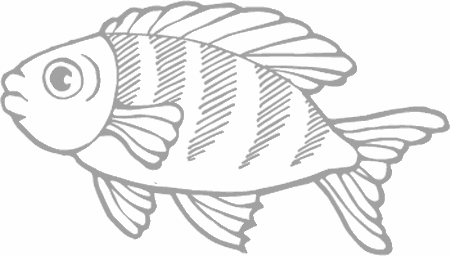 Dibujos para pintar peces, tortugas, tiburones, caracoles, lobos marinos, estrellas de mar, pescados, caballitos de mar, cocodrilos