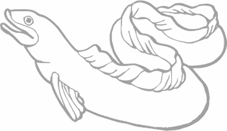 Dibujos para pintar peces, tortugas, tiburones, caracoles, lobos marinos, estrellas de mar, pescados, caballitos de mar, cocodrilos