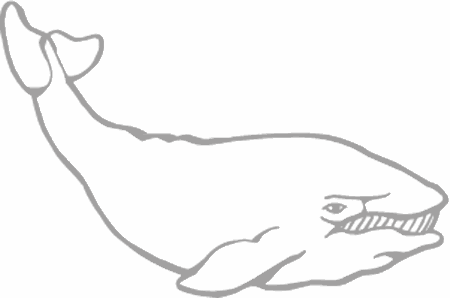Dibujos para pintar peces, tortugas, tiburones, caracoles, lobos marinos, estrellas de mar, pescados, caballitos de mar, cocodrilos