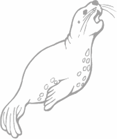 Dibujos para pintar peces, tortugas, tiburones, caracoles, lobos marinos, estrellas de mar, pescados, caballitos de mar, cocodrilos