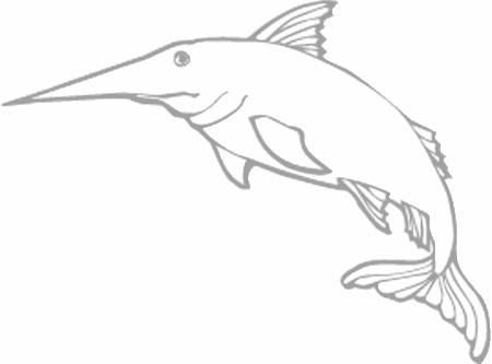 Dibujos para pintar peces, tortugas, tiburones, caracoles, lobos marinos, estrellas de mar, pescados, caballitos de mar, cocodrilos