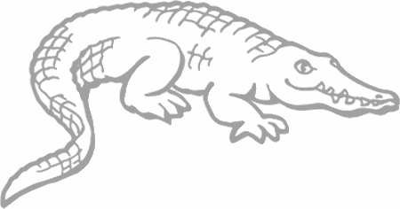 Dibujos para pintar peces, tortugas, tiburones, caracoles, lobos marinos, estrellas de mar, pescados, caballitos de mar, cocodrilos