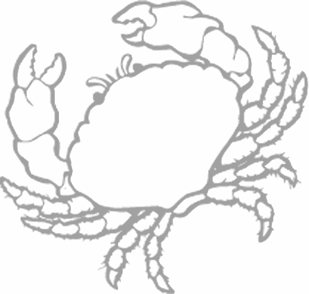 Dibujos para pintar peces, tortugas, tiburones, caracoles, lobos marinos, estrellas de mar, pescados, caballitos de mar, cocodrilos