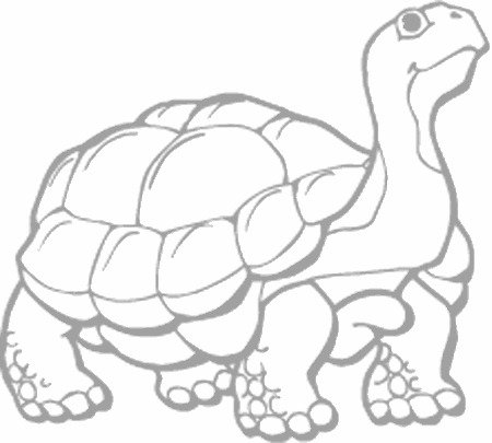 Dibujos para pintar peces, tortugas, tiburones, caracoles, lobos marinos, estrellas de mar, pescados, caballitos de mar, cocodrilos