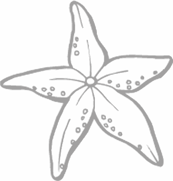 Dibujos para pintar peces, tortugas, tiburones, caracoles, lobos marinos, estrellas de mar, pescados, caballitos de mar, cocodrilos