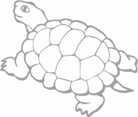 Dibujos para pintar peces, tortugas, tiburones, caracoles, lobos marinos, estrellas de mar, pescados, caballitos de mar, cocodrilos
