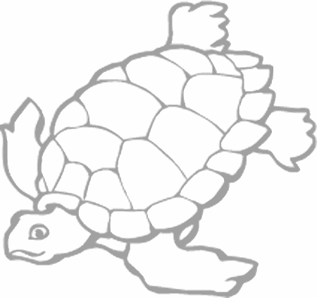 Dibujos para pintar peces, tortugas, tiburones, caracoles, lobos marinos, estrellas de mar, pescados, caballitos de mar, cocodrilos