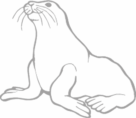 Dibujos para pintar peces, tortugas, tiburones, caracoles, lobos marinos, estrellas de mar, pescados, caballitos de mar, cocodrilos