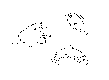 Dibujos para pintar peces, tortugas, tiburones, caracoles, lobos marinos, estrellas de mar, pescados, caballitos de mar, cocodrilos