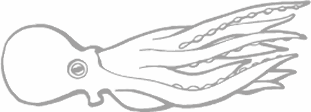 Dibujos para pintar peces, tortugas, tiburones, caracoles, lobos marinos, estrellas de mar, pescados, caballitos de mar, cocodrilos