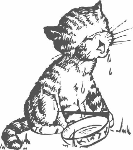 Dibujos para pintar de gatitos